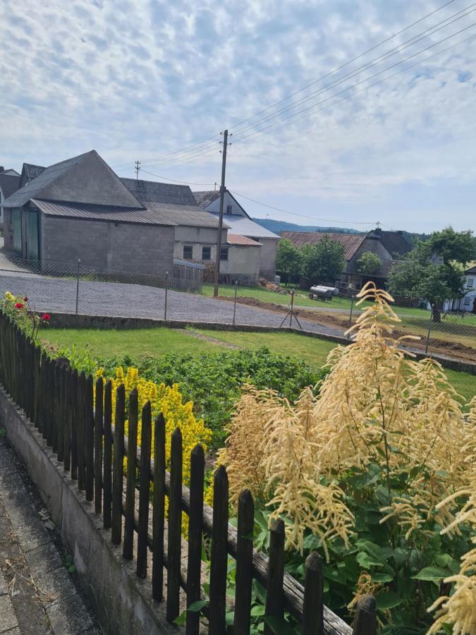 Pension Larifari Drees Buitenkant foto