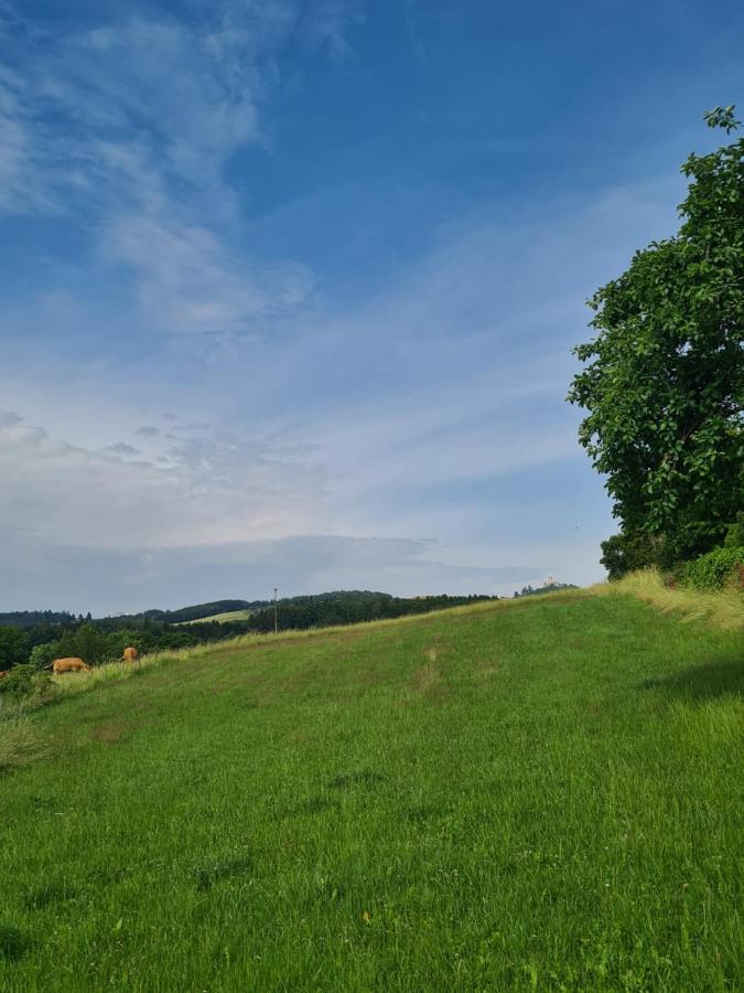 Pension Larifari Drees Buitenkant foto
